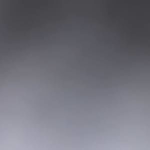 Meet your Posher, Ally